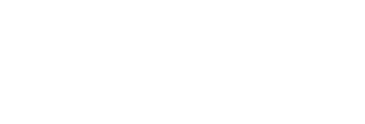 Elegant Corsets
